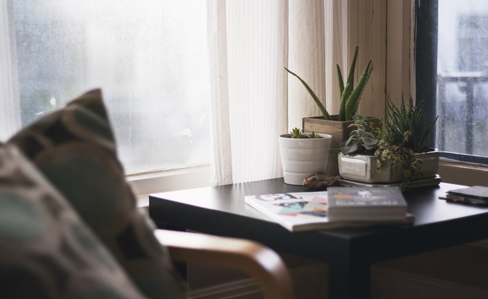 Bringing the Outdoors In: Natural Decor for Every Season